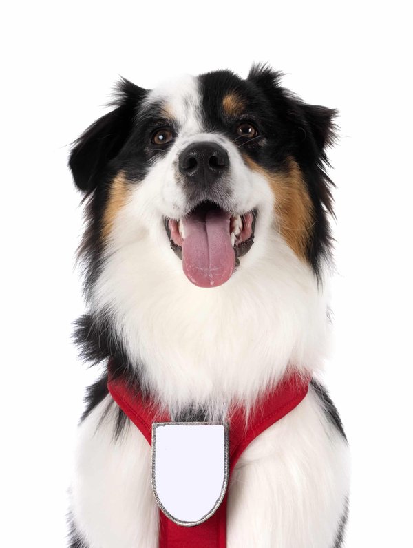 What's the Best Technique for Installing a Wide-Body Kit on a Honda Accord?